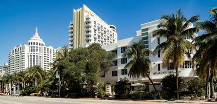 Art Deco hotels and palm trees in Miami Beach